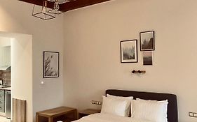 11 Luxury Apartments Metsovo